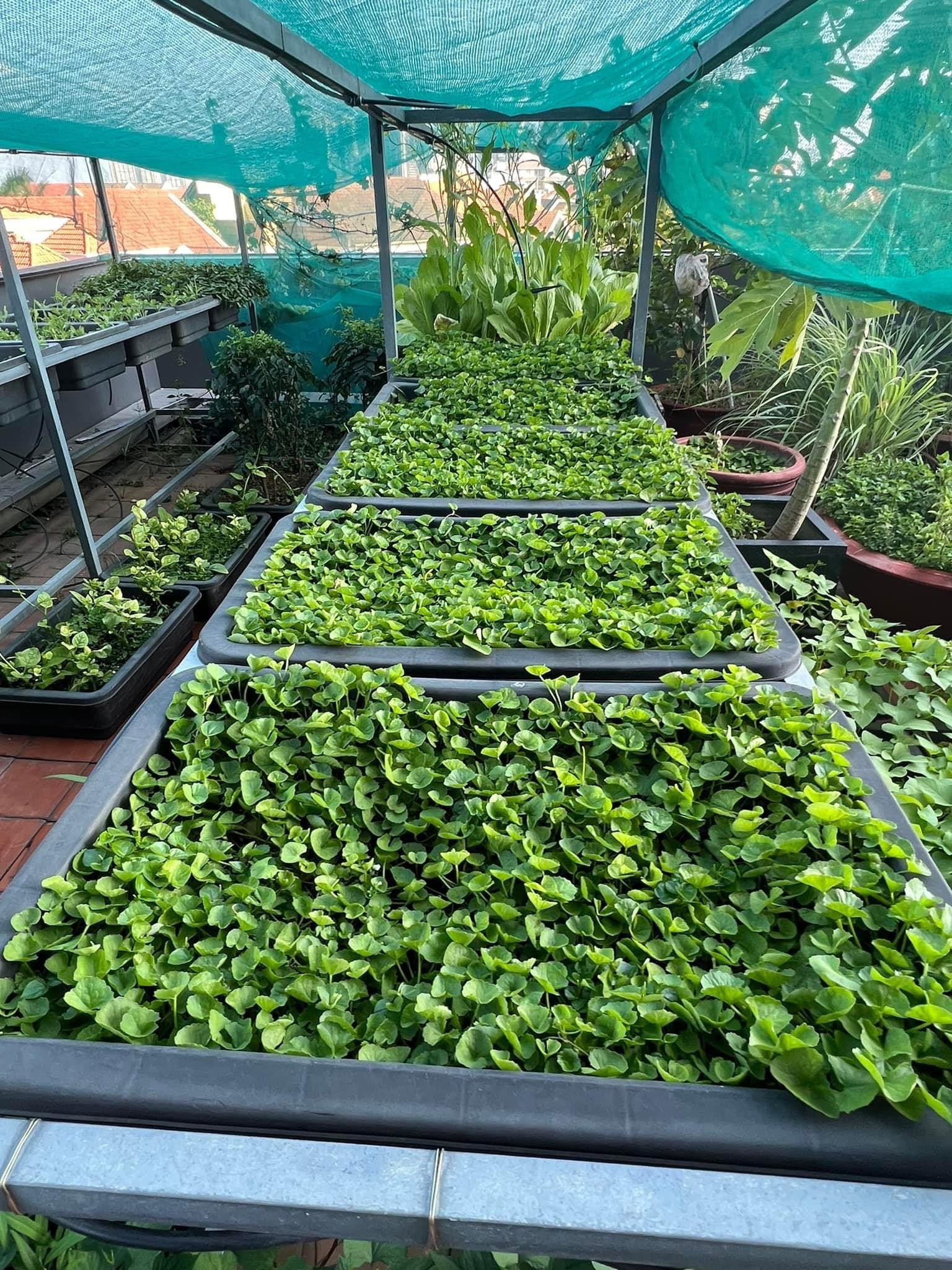 Mỹ nh&acirc;n Việt 33 tuổi l&agrave;m mẹ đơn th&acirc;n, sống c&ugrave;ng con trai trong ng&ocirc;i nh&agrave; phố 100m&sup2;- Ảnh 7.