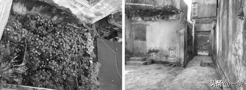 3 anh chị em thừa kế căn nh&agrave; tổ chỉ 44m&sup2;, cải tạo th&agrave;nh nơi đủ rộng để 3 thế hệ c&oacute; thể c&ugrave;ng chung sống- Ảnh 3.
