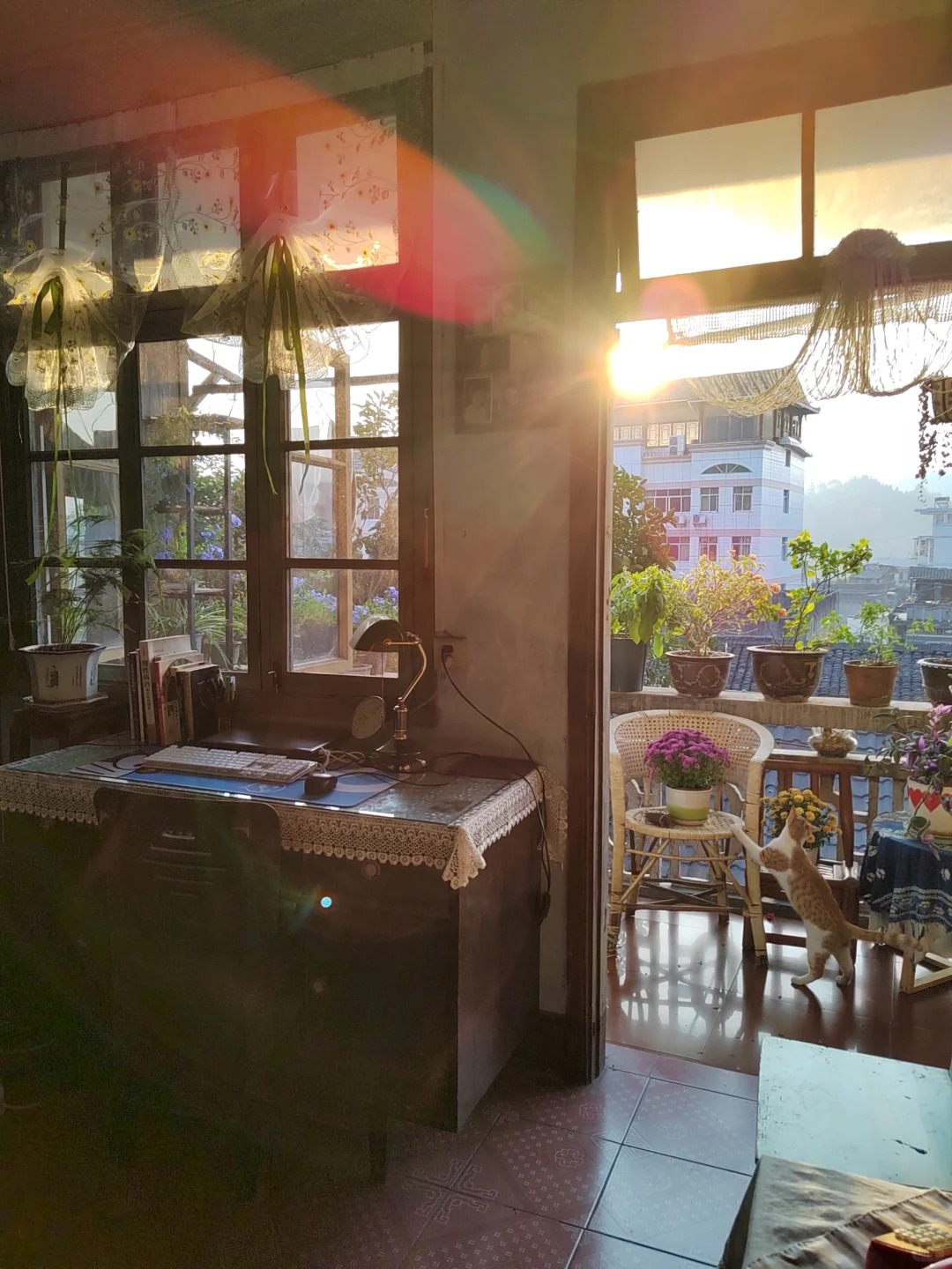 Người phụ nữ 60 tuổi sống một m&igrave;nh trong căn nh&agrave; hơn 40 năm: Bước v&agrave;o b&ecirc;n trong mới hiểu v&igrave; sao b&agrave; kh&ocirc;ng muốn sửa sang- Ảnh 9.