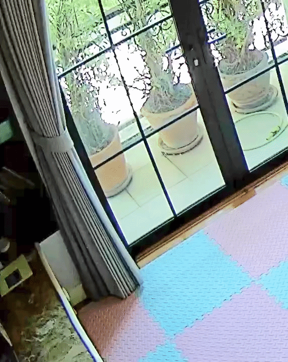 Cho ch&aacute;u uống sữa, b&agrave; thấy c&oacute; m&ugrave;i lạ, xem lại camera th&igrave; b&agrave;ng ho&agrave;ng với h&agrave;nh vi của người gi&uacute;p việc- Ảnh 1.