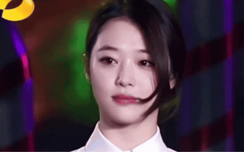 L&agrave;ng giải tr&iacute; kh&ocirc;ng thể t&igrave;m ra đo&aacute; hoa l&ecirc; tuyết thứ 2- Ảnh 6.