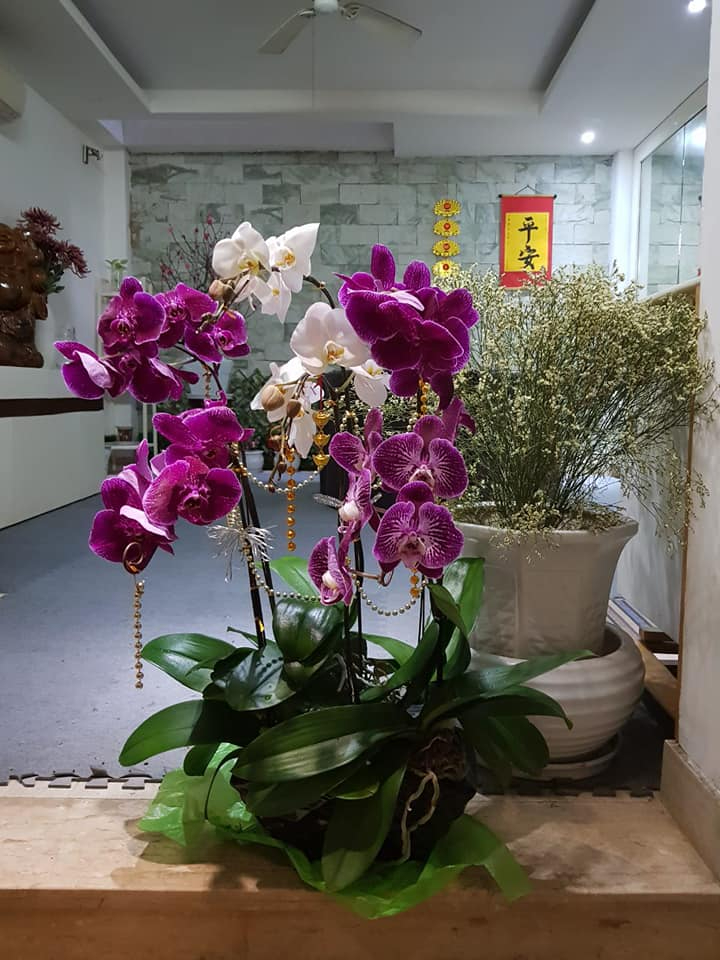 Người đầu ti&ecirc;n dẫn Ai L&agrave; Triệu Ph&uacute;: Tốt nghiệp Ng&ocirc;n ngữ Hindi, sống trong căn nh&agrave; 40m2 ở H&agrave; Nội- Ảnh 5.