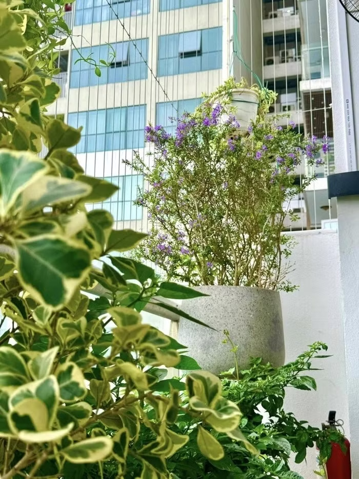 Giám đốc có học vị Tiến sĩ từng có quá khứ mưu sinh nhọc nhằn ít ai biết: Hiện tại sống trong căn hộ cao cấp ở Hà Nội- Ảnh 8.