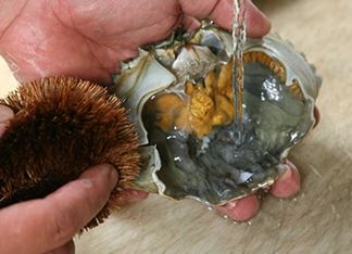 Th&iacute;ch ăn cua đến mấy cũng n&ecirc;n bỏ bộ phận n&agrave;y - Ảnh 2.
