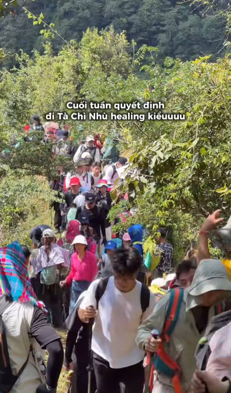 Gallery - Tà Chì Nhù mùa hoa Chi Pâu: Leo gần 3.000 m vẫn phải xếp hàng, du khách sợ tắc đường đến toát mồ hôi - image 3
