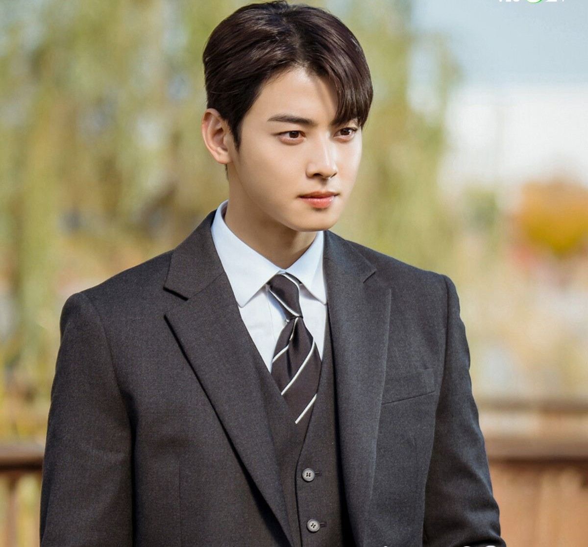 Mỹ nhân khiến Lee Min Ho chinh phục bằng được, Cha Eun Woo chọn là hình mẫu lý tưởng: Nhan sắc đạt cảnh giới quốc bảo- Ảnh 5.