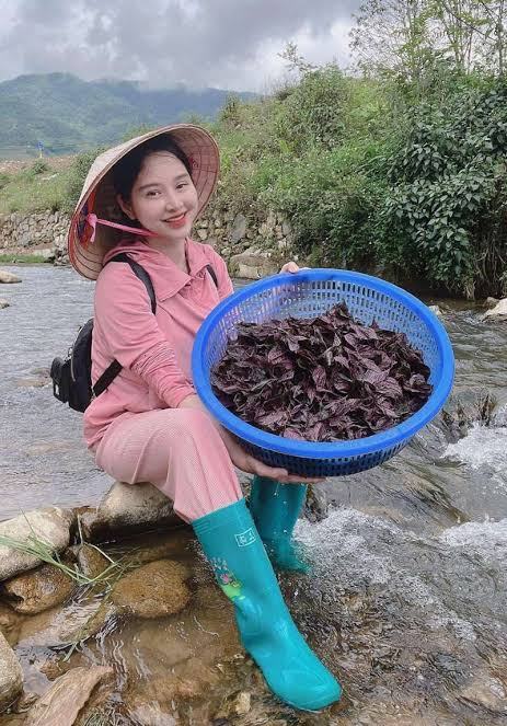 Trước khi khóa, kênh của Huyền Huho đăng gì? - Ảnh 4.