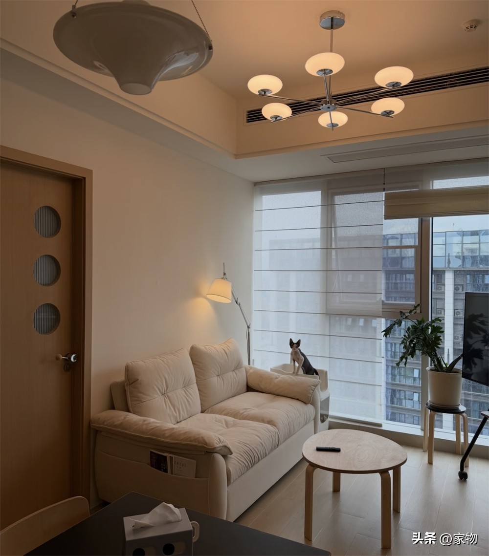 Từng l&agrave; kiểu nh&agrave; người trẻ đổ x&ocirc; mua, căn hộ độc th&acirc;n giờ dần mất sức h&uacute;t: 6 l&yacute; do sống l&acirc;u mới thấm- Ảnh 2.