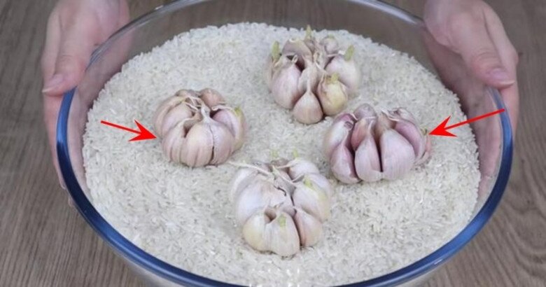 Nh&agrave; n&agrave;o c&oacute; th&ugrave;ng gạo cũng n&ecirc;n cho thứ n&agrave;y v&agrave;o: B&iacute; mật đằng sau sẽ khiến bạn bất ngờ- Ảnh 3.