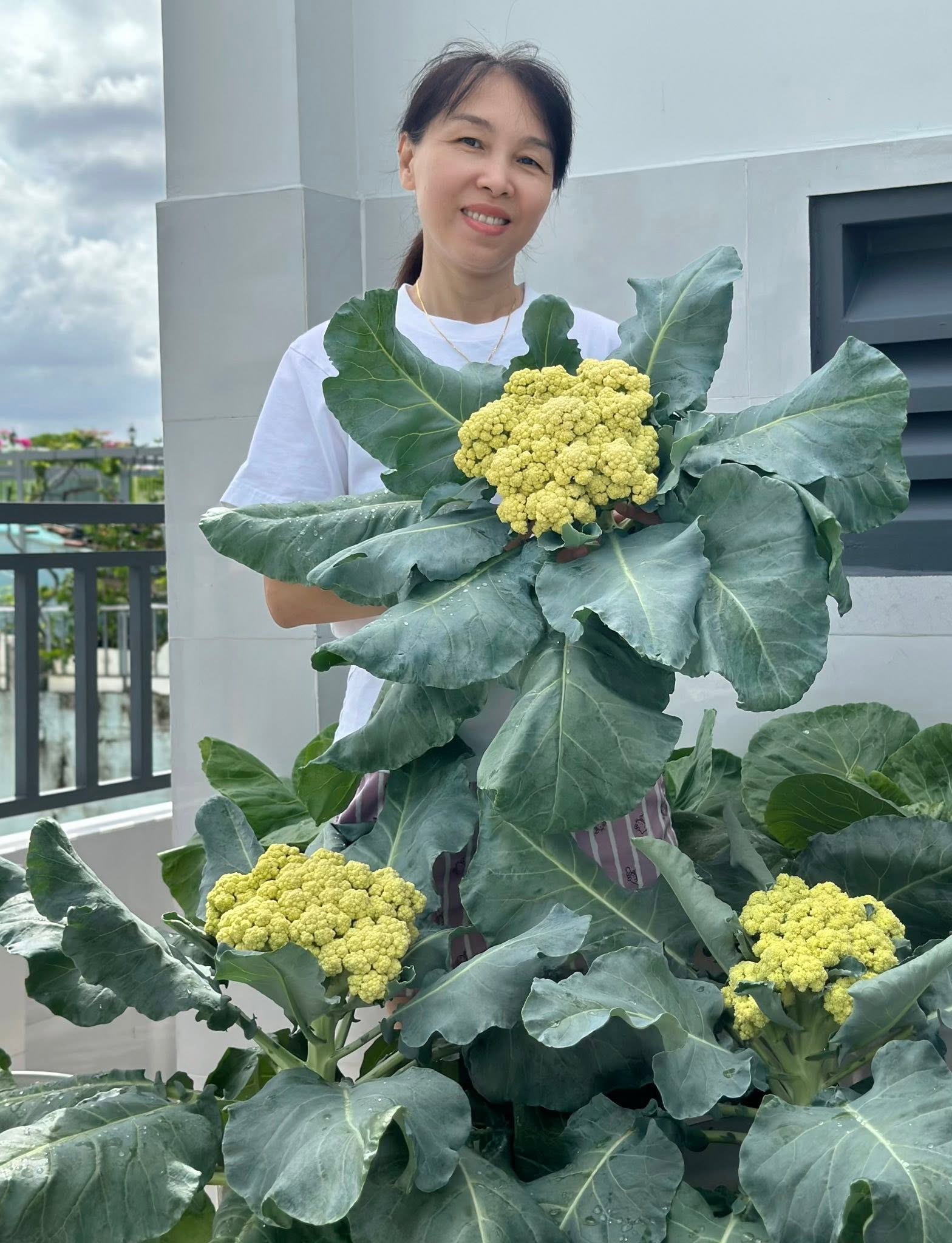 Khu vườn 40m&sup2; tr&ecirc;n s&acirc;n thượng ở TP.HCM: Rau xanh ăn quanh năm, chiều n&agrave;o gia chủ cũng l&ecirc;n &ldquo;xả stress&rdquo;- Ảnh 1.