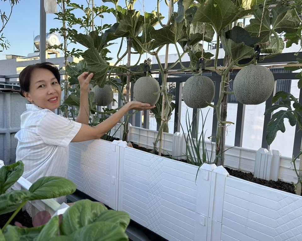 Khu vườn 40m&sup2; tr&ecirc;n s&acirc;n thượng ở TP.HCM: Rau xanh ăn quanh năm, chiều n&agrave;o gia chủ cũng l&ecirc;n &ldquo;xả stress&rdquo;- Ảnh 19.