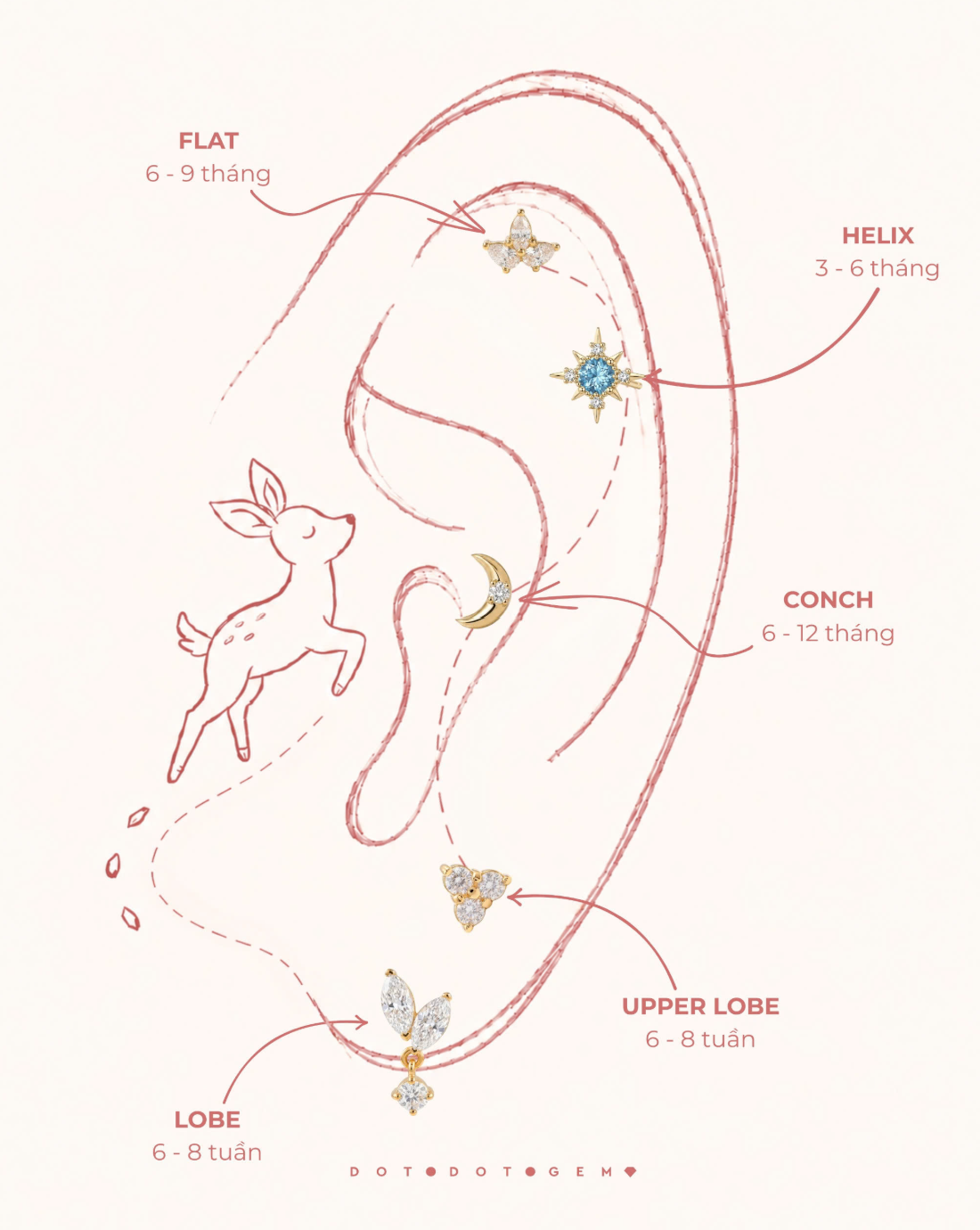 Golden Ear Map: Gợi &yacute; 5 tọa độ tr&ecirc;n v&agrave;nh tai, b&iacute; quyết đu trend mini stud chuẩn gu - Ảnh 2.