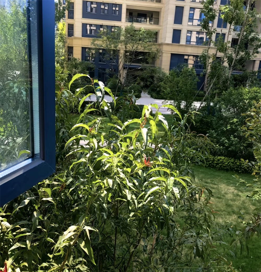 Sống tầng 20 suốt 6 năm, tôi quyết bán nhà chuyển xuống tầng 2: 3 năm sau thấy 3 ưu điểm quá đáng giá- Ảnh 6.
