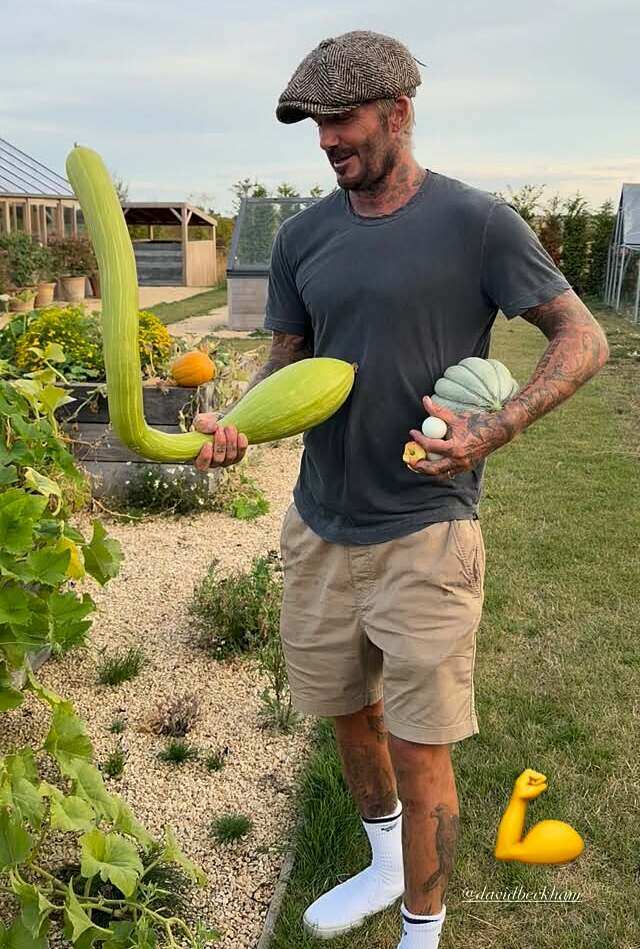 Khu vườn trồng rau nu&ocirc;i g&agrave; 350 tỷ của Beckham  - Ảnh 6.
