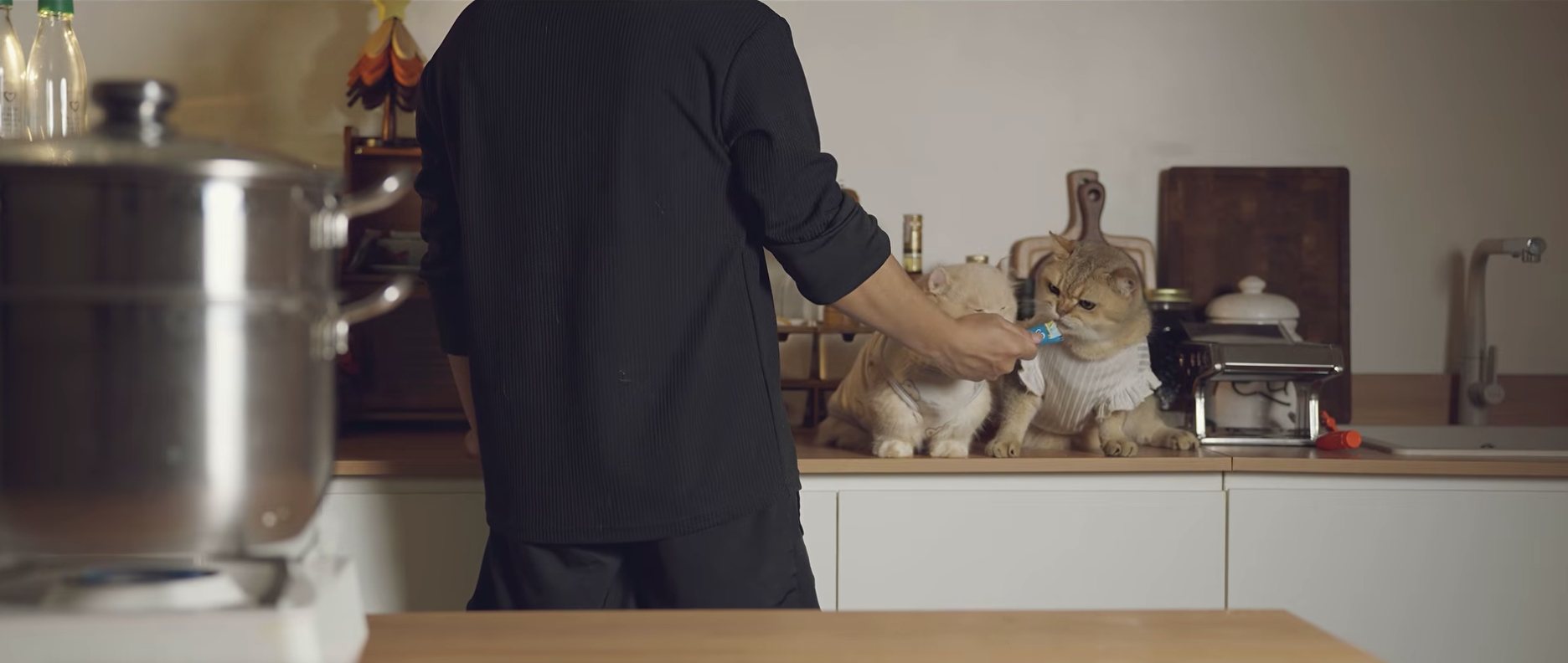 Ch&agrave;ng trai Việt c&oacute; 7,6 triệu người theo d&otilde;i biến mất 3 năm kh&ocirc;ng lời từ biệt, nay quay lại chỉ với một c&acirc;u "M&igrave;nh sống lại rồi n&egrave;"- Ảnh 19.