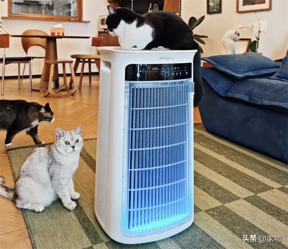 7 món đồ gia dụng nhỏ tôi từng nghĩ không cần mua: Dùng rồi mới hiểu vì sao nhiều người nói có tiền nên sắm sớm- Ảnh 3.