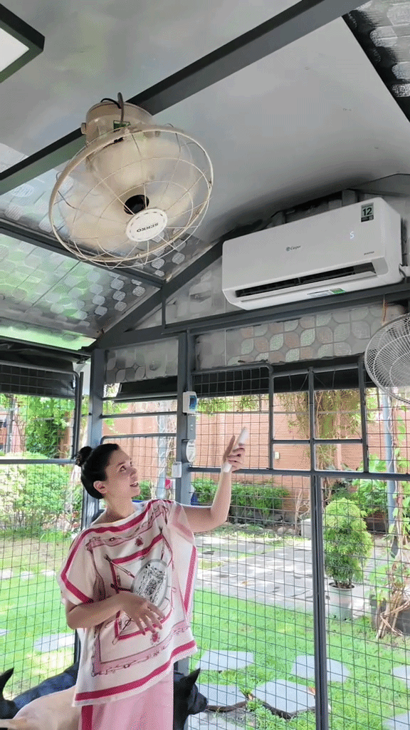 Căn nhà cho 14 chú chó của “phú bà” bán gạo ở TP.HCM: Lắp điều hòa, camera, cửa tự động- Ảnh 9.