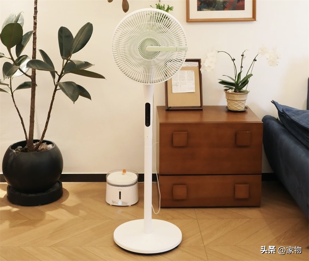 7 món đồ gia dụng nhỏ tôi từng nghĩ không cần mua: Dùng rồi mới hiểu vì sao nhiều người nói có tiền nên sắm sớm- Ảnh 1.