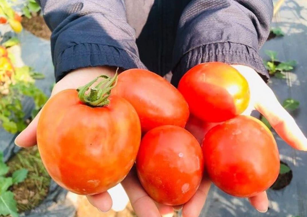 Ăn c&agrave; chua mỗi ng&agrave;y suốt 1 năm, người đ&agrave;n &ocirc;ng 42 tuổi bất ngờ khi đi kh&aacute;m - Ảnh 2.