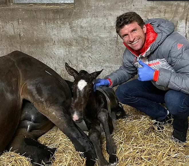 Trang trại ngựa thu nhập hàng triệu Euro của Thomas Muller ở quê- Ảnh 3.