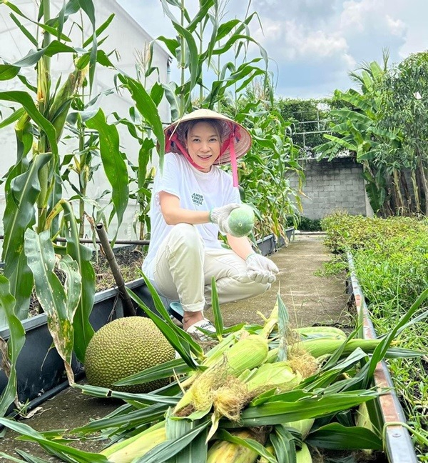 Cơ ngơi ở TP.HCM của Mỹ Tâm- Ảnh 4.