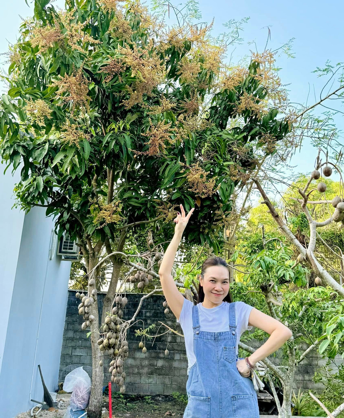 Cơ ngơi ở TP.HCM của Mỹ Tâm- Ảnh 1.