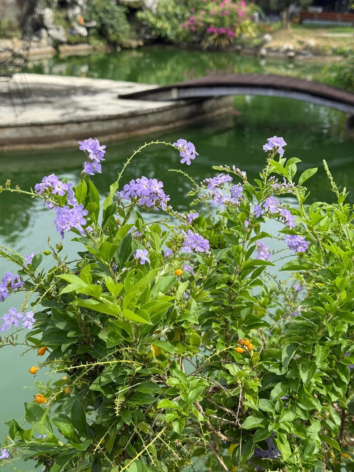 Cơ ngơi ở TP.HCM của Mỹ Tâm- Ảnh 5.