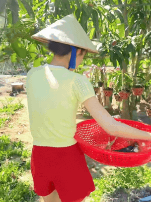 Căn nhà ở quê của Hoa hậu Bảo Ngọc- Ảnh 1.