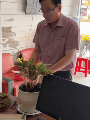 Căn nhà ở quê của Hoa hậu Bảo Ngọc- Ảnh 6.
