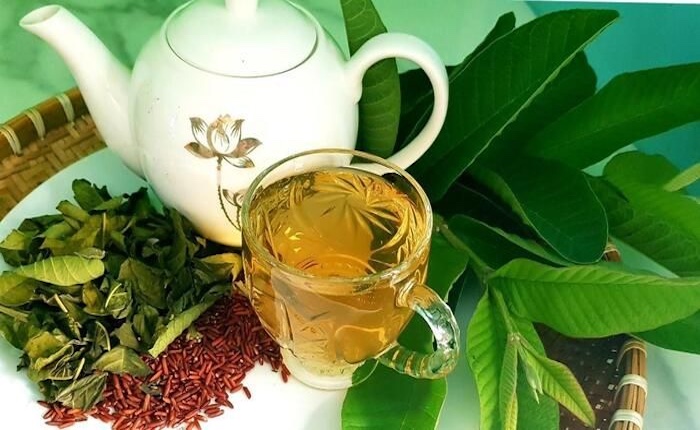 Lời khuy&ecirc;n đến tất cả c&aacute;c gia đ&igrave;nh đang trồng c&acirc;y ổi - Ảnh 5.