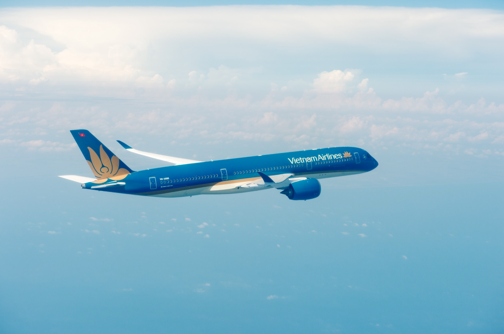 Vietnam Airlines hai năm liên tiếp trong Top 50 doanh nghiệp đóng góp ngân sách lớn nhất Việt Nam - Ảnh 1.