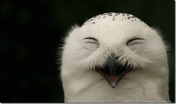 Mu&ocirc;n vẻ kiểu cười tr&ecirc;n mạng Internet 1