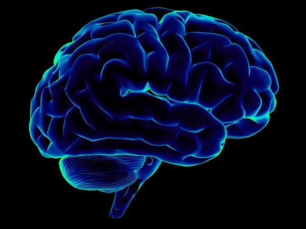 Sắp có bộ não 3D giống hệt não người đầu tiên trên thế giới