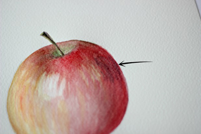 Hãy tưởng tượng một quả táo tươi ngon được vẽ màu nước - màu sắc tươi sáng và sống động như thật! Hãy chiêm ngưỡng hình ảnh này để thấy được tinh hoa của nghệ thuật vẽ tranh màu nước.