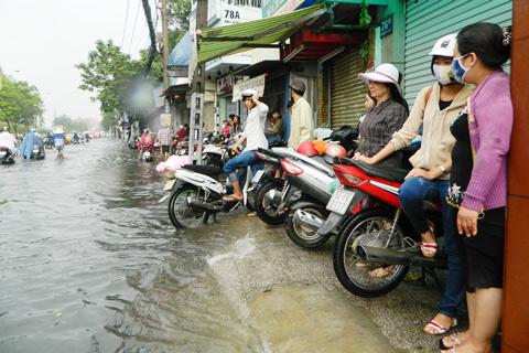 can-canh-duong-sai-gon-song-sanh-nhu-song