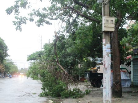 Những thiệt hại đầu tiên do siêu bão Sơn Tinh gây ra  2