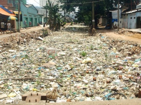 Chuột cống sống chung với người ở S&agrave;i G&ograve;n 1