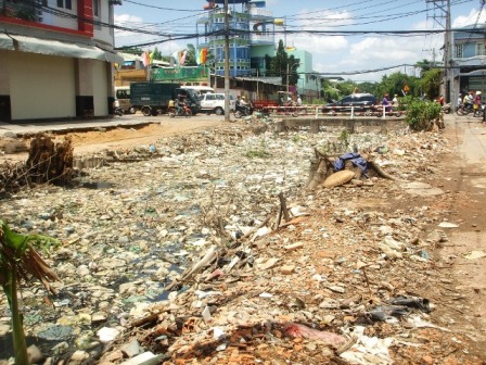 Chuột cống sống chung với người ở S&agrave;i G&ograve;n 2