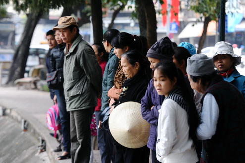 Rùa hồ Gươm "dạo chơi" trong giá lạnh 8