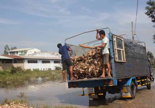  Người dân TP.HCM ''chạy lụt" trong đêm 5