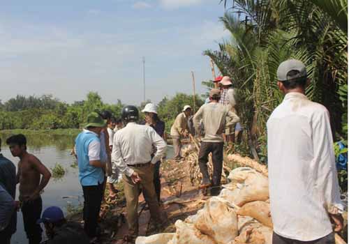  Người dân TP.HCM ''chạy lụt" trong đêm 8