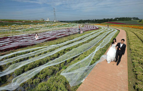 Ngỡ ngàng Chiếc váy cưới dài kỷ lục 4100m