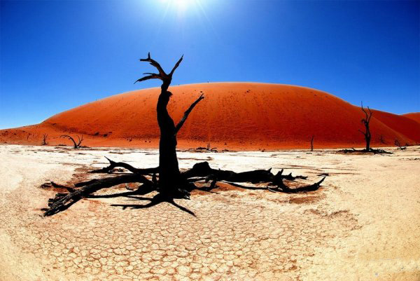 Sa mạc Namib luôn thu hút du khách với cảnh đẹp hoang sơ, hùng vỹ của mình. Bức ảnh này sẽ khiến bạn ngất ngây trước một khung cảnh tuyệt đẹp với cát vàng vô tận, động thực vật rực rỡ và những dòng nước dịu dàng.