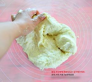 Bánh rùa xinh xinh chế từ công thức papparoti