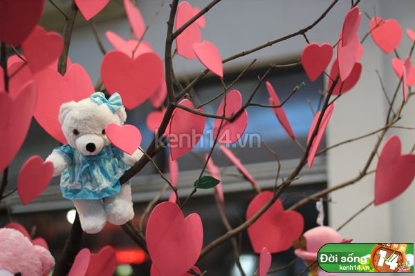 120209dsvalentine03.JPG