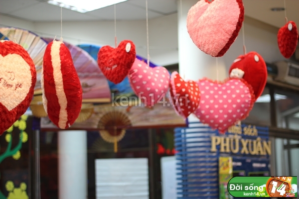 120209dsvalentine04.JPG