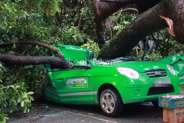 ha-noi-cay-lon-bat-re-de-bep-taxi-khien-tai-xe-tu-vong