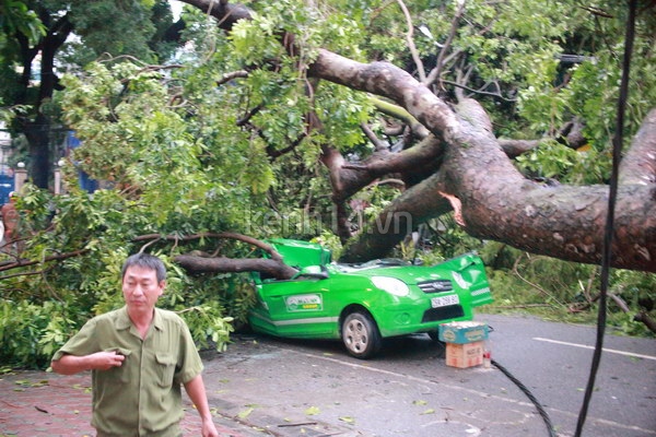 ha-noi-cay-lon-bat-re-de-bep-taxi-khien-tai-xe-tu-vong