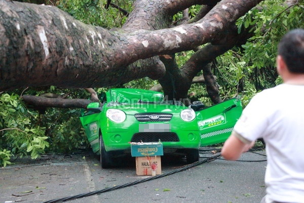 ha-noi-cay-lon-bat-re-de-bep-taxi-khien-tai-xe-tu-vong