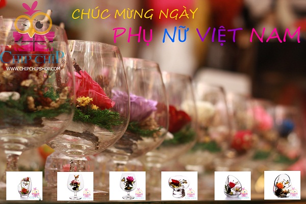 Chip Chip shop - Chở yêu thương đến người ấy 1